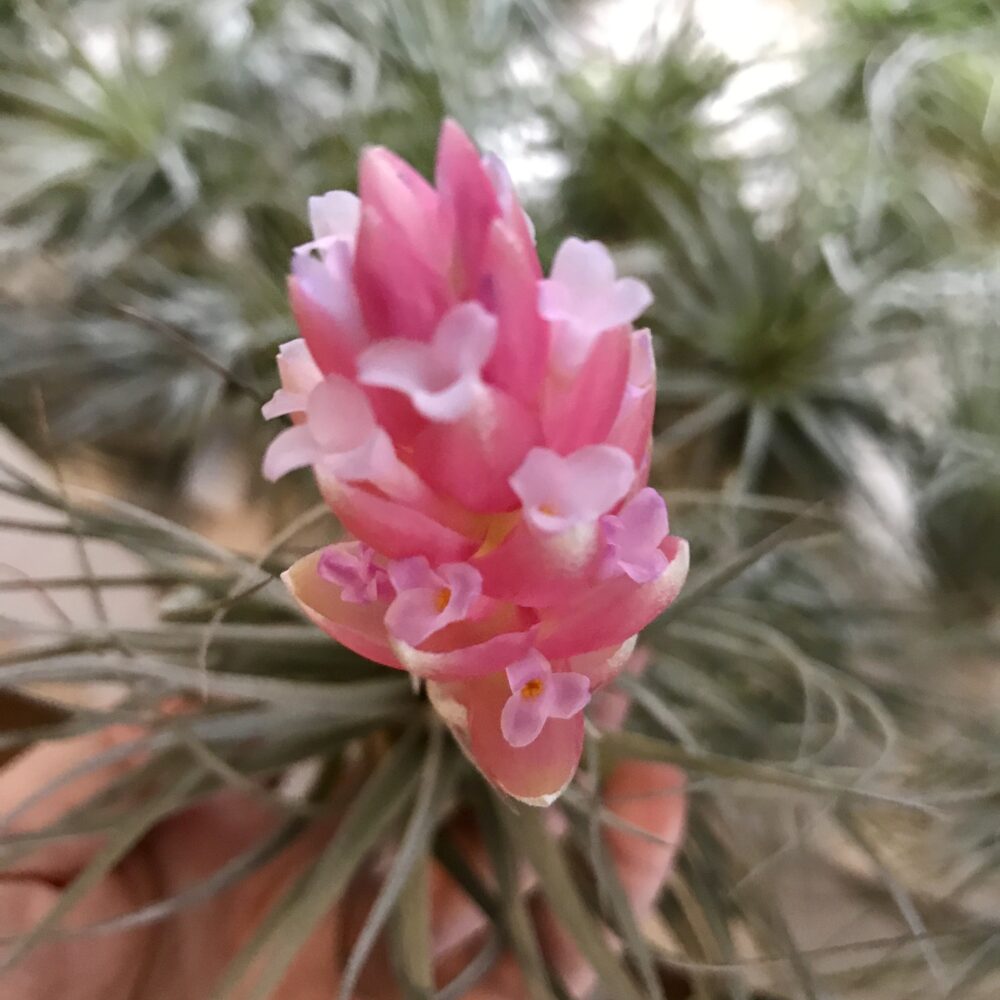 DF562178-C159-42B5-BFC6-F45FC7B4CE86