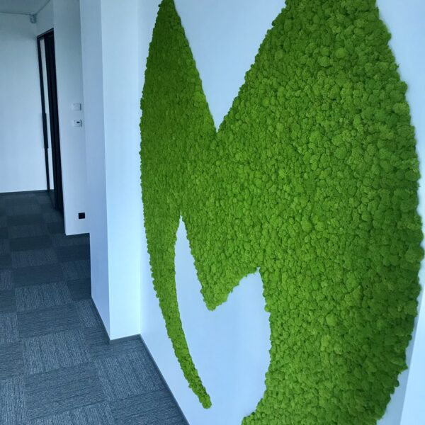 A56D54E4-A851-4DAB-B07B-1B2309FE5AD9