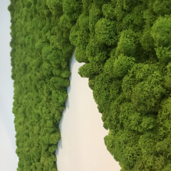 Samblikust suur logo. Säilitatud põdrasamblik. Forgreenerlife.com