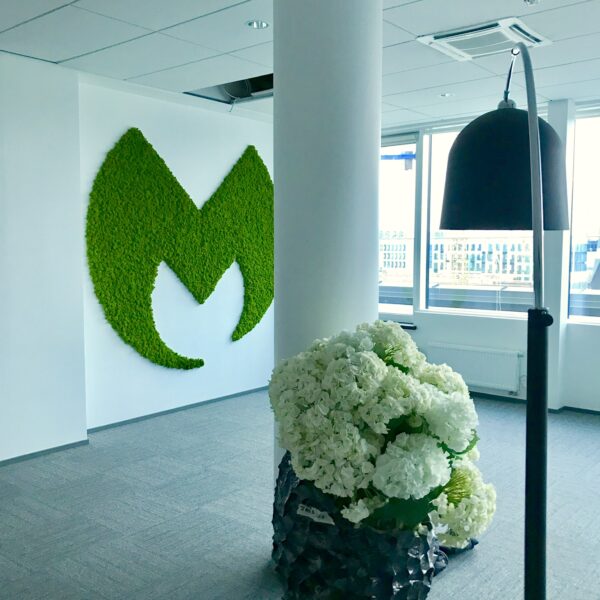 Samblikust suur logo. Säilitatud põdrasamblik. Forgreenerlife.com