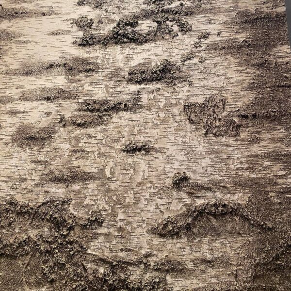 244972690_1124408394633061_2882014652669206214_n