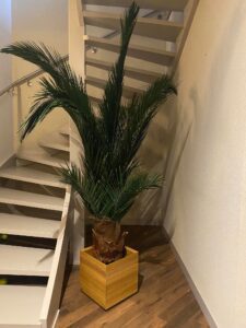 tammest lillekast ratastel