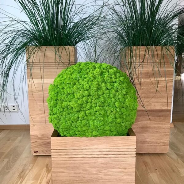 65089041_316511239288736_6287635575050600448_n