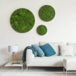 Sunny_Moss_Circle_Frames1_530x