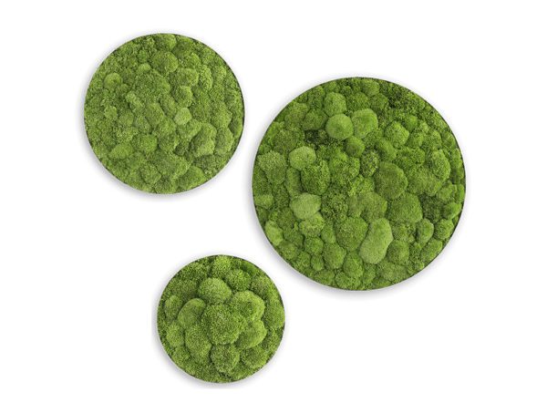 StyleGreen-Circle-Pole-Moss-Screen-Set-of-Three