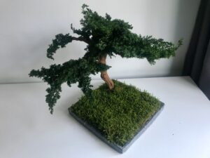 Säilitatud puud. Forgreenerlife.com