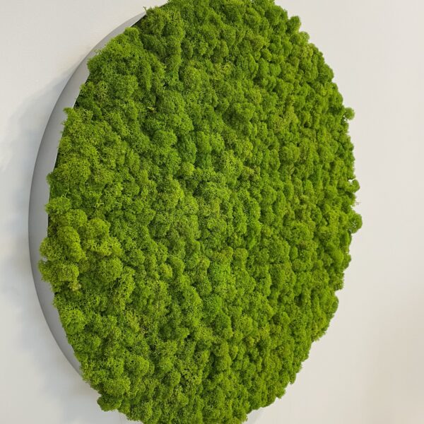 0100AEC3-0B09-436A-AB17-FF15E22518E2