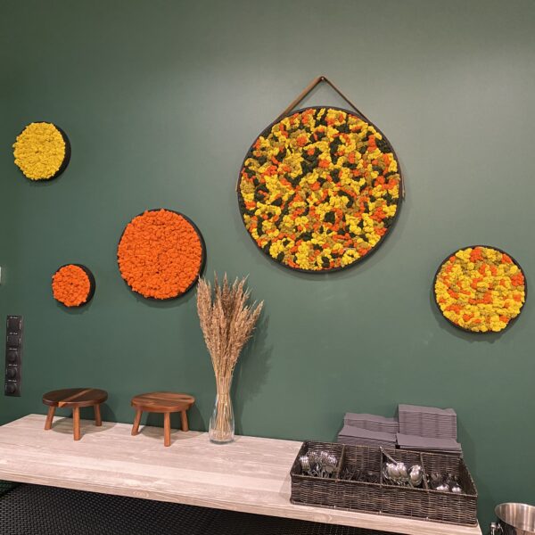 4D8F820E-1398-4F5C-8806-F6E1672A4C34