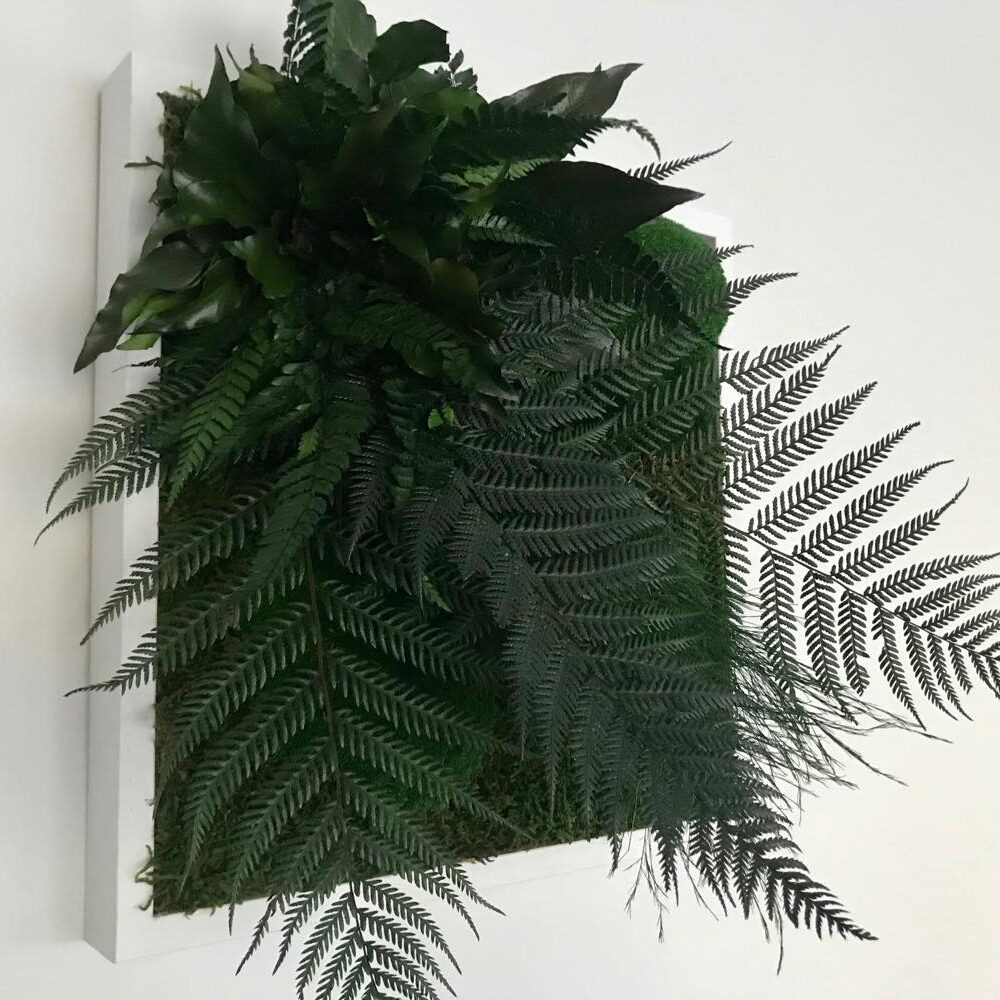 87496546_192863441983472_6002035170582986752_n