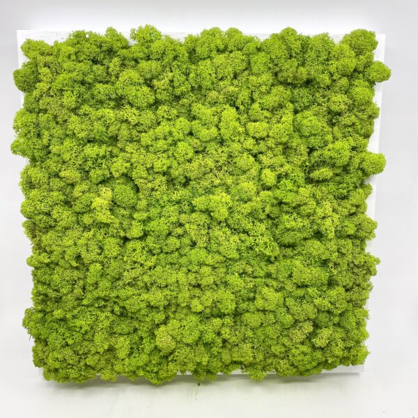 B5A95AA8-3968-47AD-ABF0-1BA1746545C6