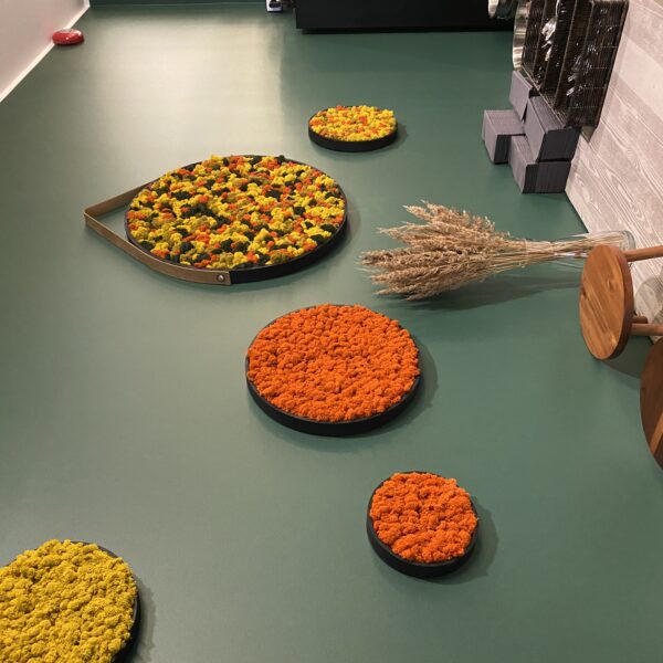 D8C8945E-FFFD-4B58-95D2-883FFF8B1941