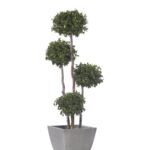 ABP0118-1-topiary-spheres