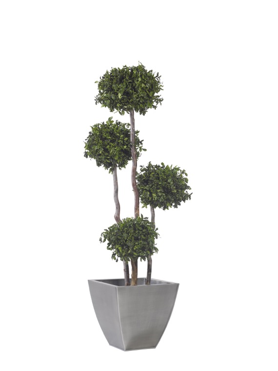 ABP0118-1-topiary-spheres