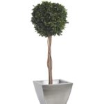 BPI0110-1-topiary-thuja-tenuifolium