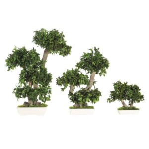 Säilitatud puud. Forgreenerlife.com