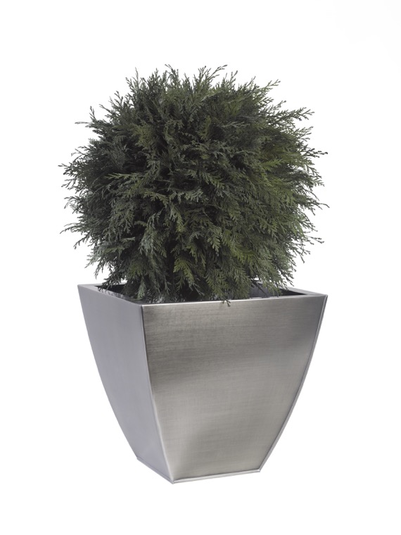 BTH0105-1-topiary-thuja-tenuifolium