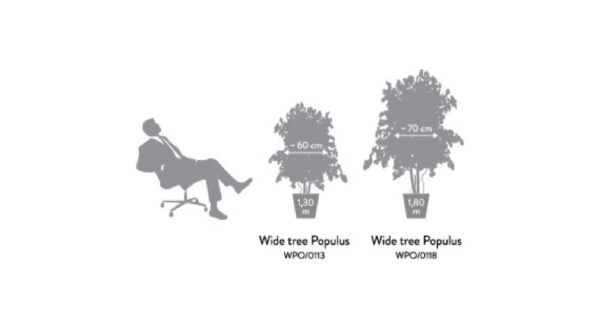 WPO0113-4-wide-populus