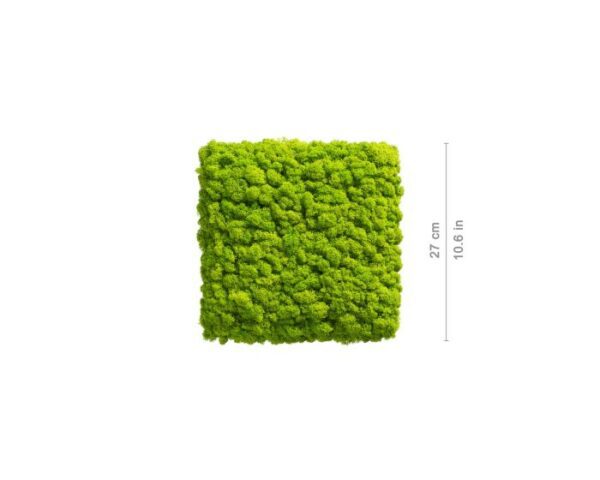 polarmoss_square_27_may_green_2_1