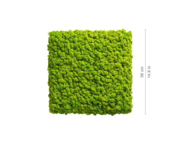 polarmoss_square_38_may_green_1_2