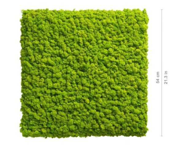 polarmoss_square_54_may_green_1