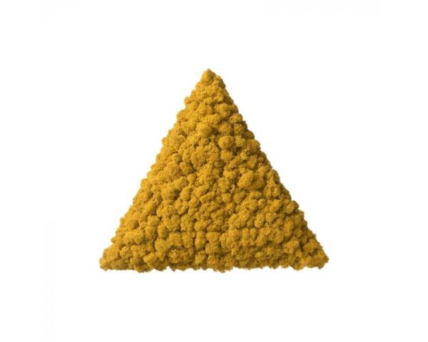 polarmoss_triangle_38_fall_yellow