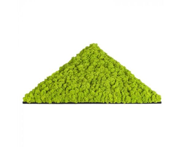 polarmoss_triangle_54_may_green_3d_1