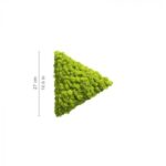 polarmoss_triangle_b_27_may_green_1