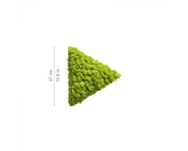 polarmoss_triangle_b_27_may_green_1