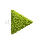polarmoss_triangle_b_38_may_green