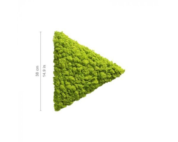 polarmoss_triangle_b_38_may_green