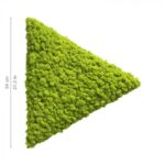 polarmoss_triangle_b_54_may_green