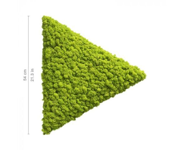 polarmoss_triangle_b_54_may_green