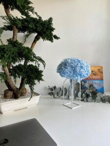 Säilitatud puud. Forgreenerlife.com