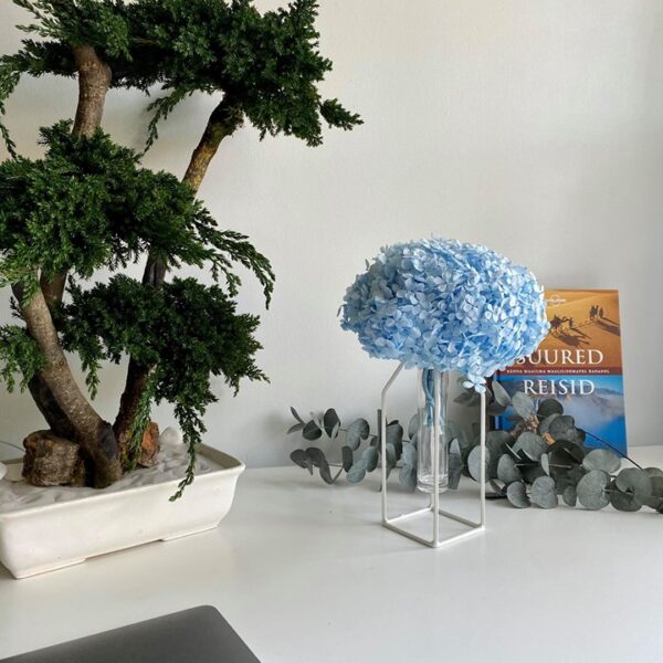 Säilitatud puud. Forgreenerlife.com