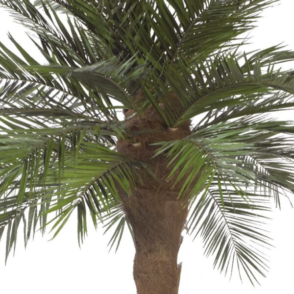 Säilitatud puud. Forgreenerlife.com