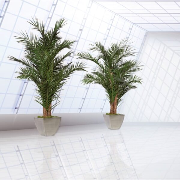 Säilitatud puud. Forgreenerlife.com