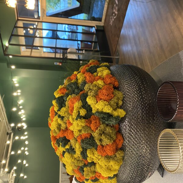 0C786F4F-C3A6-4860-9227-BABF2014B627