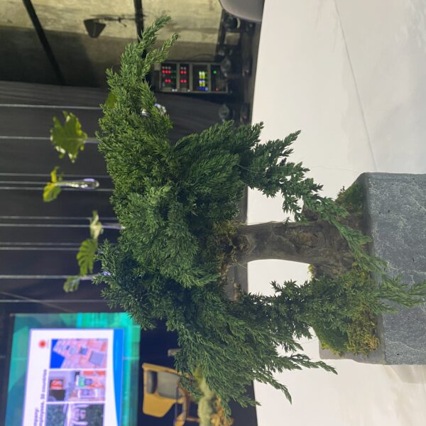 11A1CC36-39F0-4BF6-992F-501B117E45A7