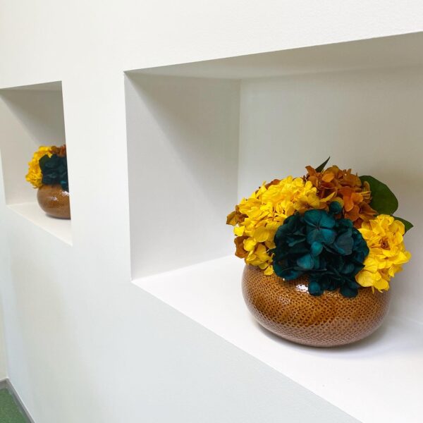 Taimede ja kõrreliste kastid. Kunst ja säilitatud taimed. Forgreenerlife.com