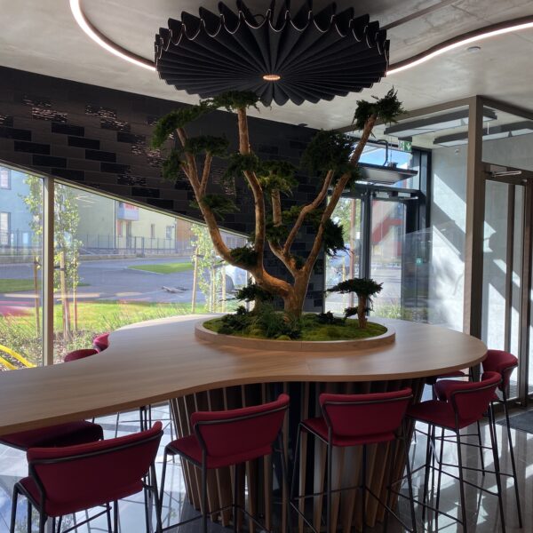 2EDB6029-2EE8-4AB9-B4D9-CC9B7B6005D8