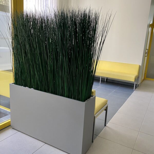 Taimede ja kõrreliste kastid. Kunst ja säilitatud taimed. Forgreenerlife.com