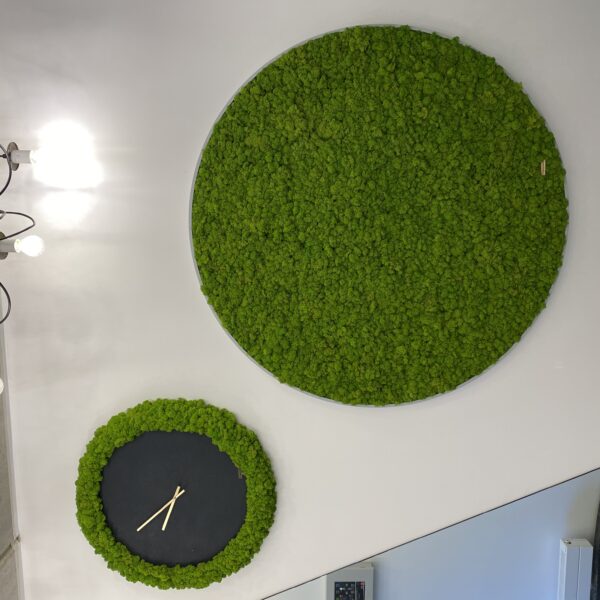 Kell põdrasamblikust. Forgreenerlife.com