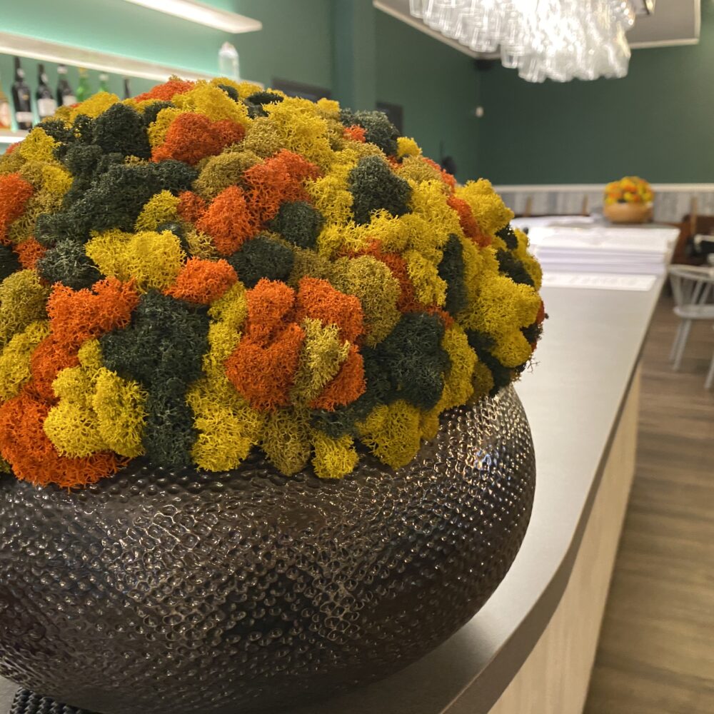 505400EB-61D5-413F-83AF-C219F5322E8C