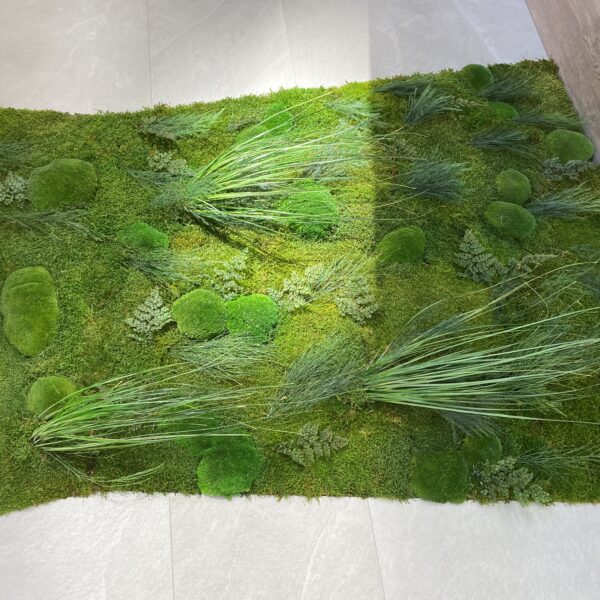 54AD3A8B-666D-4723-A58C-13EFC722A842