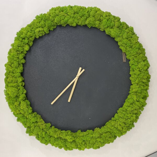 Kell põdrasamblikust. Forgreenerlife.com