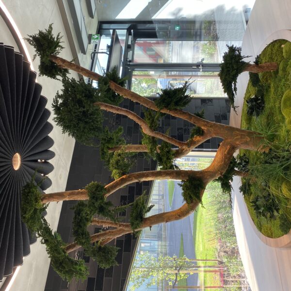 5D84A1C7-FB69-42AC-801C-3E490E72AE96