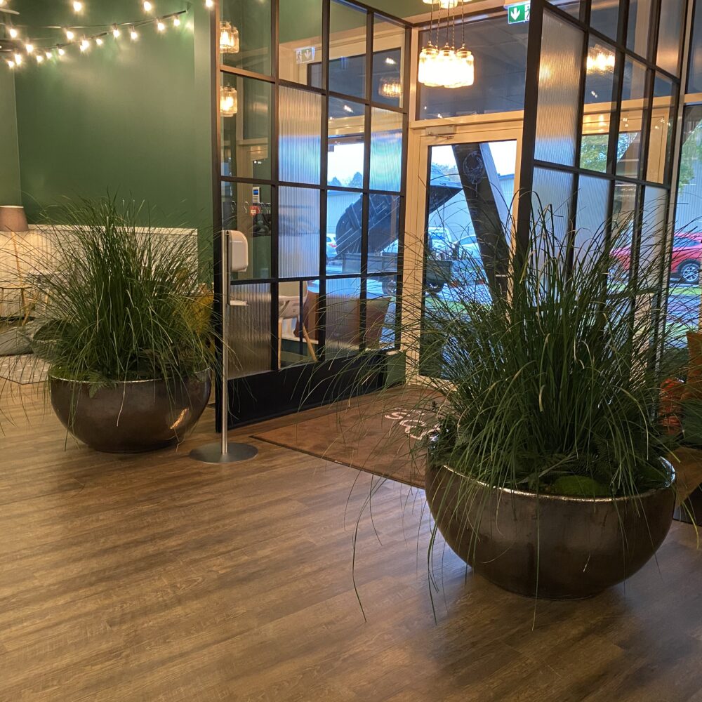 64524761-F41D-4612-AC11-F7166706F831