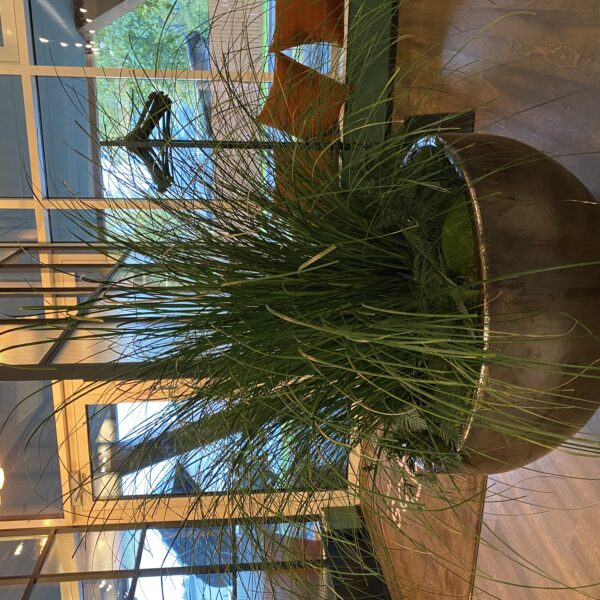 6845134D-A784-443F-8502-5C8A9B858BAC