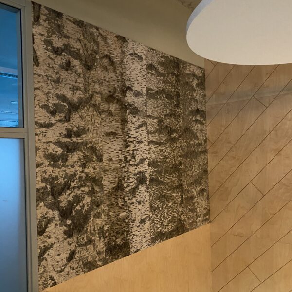 naturaalsed seinapaneelid