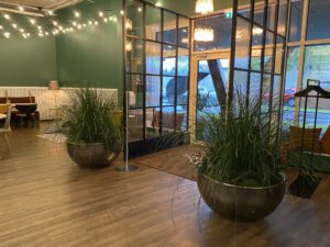 Taimede ja kõrreliste kastid. Kunst ja säilitatud taimed. Forgreenerlife.com